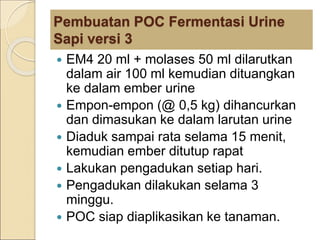 Pembuatan POC Fermentasi Urine
Sapi versi 3
 EM4 20 ml + molases 50 ml dilarutkan
dalam air 100 ml kemudian dituangkan
ke dalam ember urine
 Empon-empon (@ 0,5 kg) dihancurkan
dan dimasukan ke dalam larutan urine
 Diaduk sampai rata selama 15 menit,
kemudian ember ditutup rapat
 Lakukan pengadukan setiap hari.
 Pengadukan dilakukan selama 3
minggu.
 POC siap diaplikasikan ke tanaman.
 