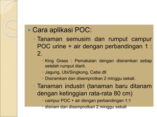  Cara aplikasi POC:
◦ Tanaman semusim dan rumput campur
POC urine + air dengan perbandingan 1 :
2.
 King Grass : Pemakaian dengan disiramkan setiap
setelah rumput diarit.
 Jagung, Ubi/Singkong, Cabe dll
 Disiramkan dan disemprotkan 2 minggu sekali.
◦ Tanaman industri (tanaman baru ditanam
dengan ketinggian rata-rata 80 cm)
 campur POC + air dengan perbandingan 1:1
 disiram dan disemprotkan 2 minggu sekali
 