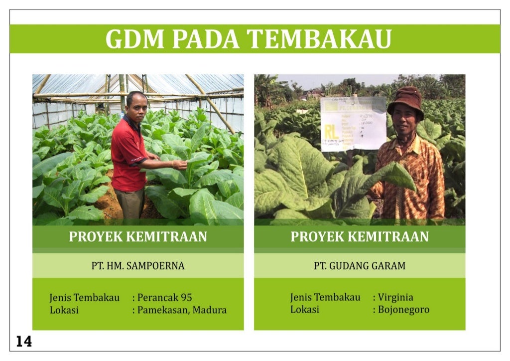 Havelock high school scotland image