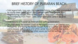 BRIEF HISTORY OF PURARAN BEACH
• Folk legend tells, long ago, this quiet little fishing village was surrounded
by sturdy trees called “pura” (Red Lawaan tree). Thus people from
neighbouring villages refer to this place as “Kapuraan” meaning
“surrounded by Pura Trees”. Later, when Spaniards came it became
“Puraran”.
• Brief History of Puraran as International Surfing Destination.
• Situated along the eastern coast of the island province of Catanduanes,
Philippines, and facing the Pacific Ocean, Puraran is gifted with natural
scenic beauty with its long and white sandy beach, crystal clear water,
islets to explore and long, barrelled waves perfect for surfing.
 