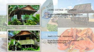 CEDRIC COTTAGE - P600/NIGHT
Single/Double Occupancy w/ bathroom
*Extra bed (P200/night)
JAMES COTTAGE - P600/NIGHT
Single/Double Occupancy w/ bathroom
*Extra bed (P200/night)
 