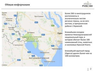 2
Общая информация
Более 260 га виноградников
расположены в
исключительно чистом
регионе страны, на ее юго-
востоке, в приграничном
районе с Украиной.
Ближайшим соседом
является Нижнеднестровский
национальный парк, в
котором обитает более 100
наимнований птиц, животных
и насекомых Красной Книги.
Ближайший крупный город
(Одесса) удален более чем на
100 километров.
 