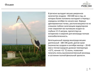 5
В регионе выпадает весьма умеренное
количество осадков - 450-600 мм в год, из
которых более половины выпадают в период с
середины октября по начало мая. Хорошо
дренированные почвы, располагающиеся на не
слишком глубоко залегающем водоупорном
слое сохраняют все выпавшие осадки на
глубине 2.5-5 метров, препятствуя их
испарению и сохраняя для винограда полную
влагообеспеченность.
Вегетационный период винограда весьма
длительный - 180-190 дней, долгая сухая
(количество осадков в сентябре месяце – 20-40
мм) и теплая (средняя дневная температура
+15°C, ночная +11 °C) осень, позволяют
получать очень высококачественный виноград
в состоянии полной фенольной зрелости.
Осадки
 