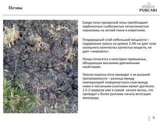 6
Среди почв пуркарской зоны преобладают
карбонатные слабосмытые легкоглинистые
черноземы на легкой глине и известняке.
Плодородный слой небольшой мощности –
содержание гумуса на уровне 2-4% не дает лозе
излишнего количества азотистых веществ, не
дает «жировать».
Почвы относятся к категории промывных,
обладающих высокими дренажными
свойствами.
Темная окраска почв приводит к их высокой
прогреваемости – разница между
температурой поверхностного слоя между
ними и песчаными участками может достигать
1.5-2 градусов уже в самом начале весны, что
приводит к более раннему началу вегетации
винограда.
Почвы
 