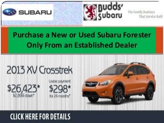 Purchase a New or Used Subaru Forester
Only From an Established Dealer

 
