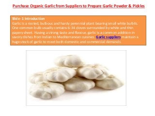 Purchase Organic Garlic from Suppliers to Prepare Garlic Powder & Pickles
Slide- 1 Introduction
Garlic is a rooted, bulbous and hardy perennial plant bearing small white bulbils.
One common bulb usually contains 6-34 cloves surrounded by white and thin
papery sheet. Having a strong taste and flavour, garlic is a common addition in
savory dishes from Indian to Mediterranean cuisines. Garlic suppliers maintain a
huge stock of garlic to meet both domestic and commercial demands.
 