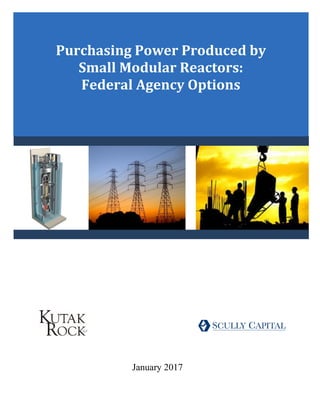 Purchasing Power Produced by
Small Modular Reactors:
Federal Agency Options
January 2017
 