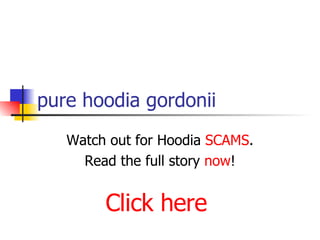 pure hoodia gordonii Watch out for Hoodia  SCAMS . Read the full story  now ! Click here 
