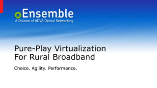 Pure-Play Virtualization
For Rural Broadband
Choice. Agility. Performance.
 