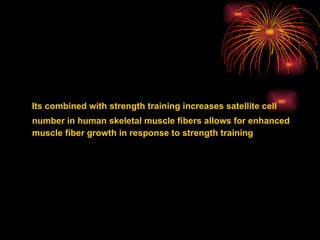 Its combined with strength training increases satellite cell  number in human skeletal muscle fibers allows for enhanced  muscle fiber growth in response to strength training 