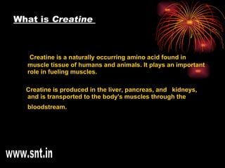 What is  Creatine  Creatine is a naturally occurring amino acid found in muscle tissue of humans and animals. It plays an important role in fueling muscles. Creatine is produced in the liver, pancreas, and  kidneys, and is transported to the body's muscles through the bloodstream.   www.snt.in 