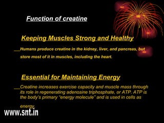 Function of creatine Keeping Muscles Strong and Healthy Humans produce creatine in the kidney, liver, and pancreas, but store most of it in muscles, including the heart.   Essential for Maintaining Energy Creatine increases exercise capacity and muscle mass through its role in regenerating adenosine triphosphate, or ATP. ATP is the body’s primary “energy molecule” and is used in cells as energy.   www.snt.in 