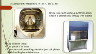 1) Autoclave the media (heat to 121 °C and 20 psi)
2) Use sterile petri dishes, pipette tips, plastic
tubes in a laminar hood sprayed with ethanol
3) Use common sense!
• Use gloves at all times
• Don’t eat/touch other things/attend to your cell phones
while handling bacterial cultures
 