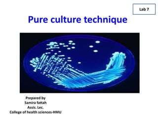 Pure culture technique
Prepared by
Samira fattah
Assis. Lec.
College of health sciences-HMU
Lab 7
 