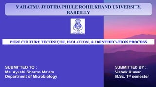 MAHATMA JYOTIBA PHULE ROHILKHAND UNIVERSITY,
BAREILLY
SUBMITTED TO :
Ms. Ayushi Sharma Ma'am
Department of Microbiology
SUBMITTED BY :
Vishek Kumar
M.Sc. 1st semester
 