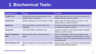 3. Biochemical Tests:
Biochemical Test Purpose Procedure
Catalase Test Distinguishes between catalase-positive and
catalase-negative organisms
Add hydrogen peroxide to a colony; the production of
bubbles indicates a positive reaction.
Oxidase Test Identifies organisms with cytochrome c oxidase Apply a drop of oxidase reagent to a colony; a color
change indicates a positive reaction.
Indole Test Detects the ability to produce indole from
tryptophan
Inoculate a tryptone broth, add Kovac's reagent; a red
color indicates a positive reaction.
Urease Test Tests for the ability to hydrolyze urea noculate urea broth; a color change to pink or magenta
indicates a positive reaction.
Sugar Fermentation
Tests
Determines the ability to ferment specific
sugars
Glucose Fermentation: Observe gas production, pH
changes, or color changes in a Durham tube. - Lactose
Fermentation: Detect acid and gas production in lactose-
containing media.
H2S Production Test Detects the ability to produce hydrogen sulfide
gas
Inoculate triple sugar iron (TSI) agar; blackening of the
medium indicates H2S production.
17
 