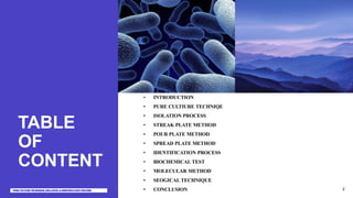 TABLE
OF
CONTENT
• INTRODUCTION
• PURE CULTIURE TECHNIQE
• ISOLATION PROCESS
• STREAK PLATE METHOD
• POUR PLATE METHOD
• SPREAD PLATE METHOD
• IDENTIFICATION PROCESS
• BIOCHEMICAL TEST
• MOLECULAR METHOD
• SEOGICAL TECHNIQUE
• CONCLUSION 2
 