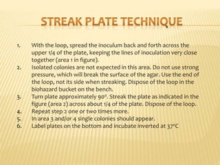 Pure culture techniques | PPTX