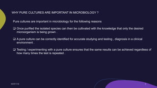 WHY PURE CULTURES ARE IMPORTANT IN MICROBIOLOGY ?
Pure cultures are important in microbiology for the following reasons
 Once purified the isolated species can then be cultivated with the knowledge that only the desired
microorganism is being grown .
 A pure culture can be correctly identified for accurate studying and testing , diagnosis in a clinical
environment .
 Testing / experimenting with a pure culture ensures that the same results can be achieved regardless of
how many times the test is repeated .
 