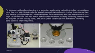 For large non-motile cells or when time is at a premium an alternative method is to isolate into petridishes
rather than on a slide. Multiple cells of a population are quickly transferred to the first rinse plate and then
from there progressively fewer into subsequent plates. Because relatively less care is taken to avoid non-
target cell transfer each petri dish acts as an enrichment culture with hopefully a relatively clean culture in
the final plate (or even possibly clonal). The “clean” plates can then be used as the stock for making
clonal isolations when time permits.
 