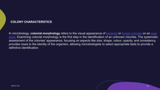 In microbiology, colonial morphology refers to the visual appearance of bacterial or fungal colonies on an agar
plate. Examining colonial morphology is the first step in the identification of an unknown microbe. The systematic
assessment of the colonies' appearance, focusing on aspects like size, shape, colour, opacity, and consistency,
provides clues to the identity of the organism, allowing microbiologists to select appropriate tests to provide a
definitive identification.
COLONY CHARACTERSTICS
 