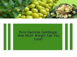 Pure Garcinia Cambogia:
How Much Weight Can You
Lose?
 