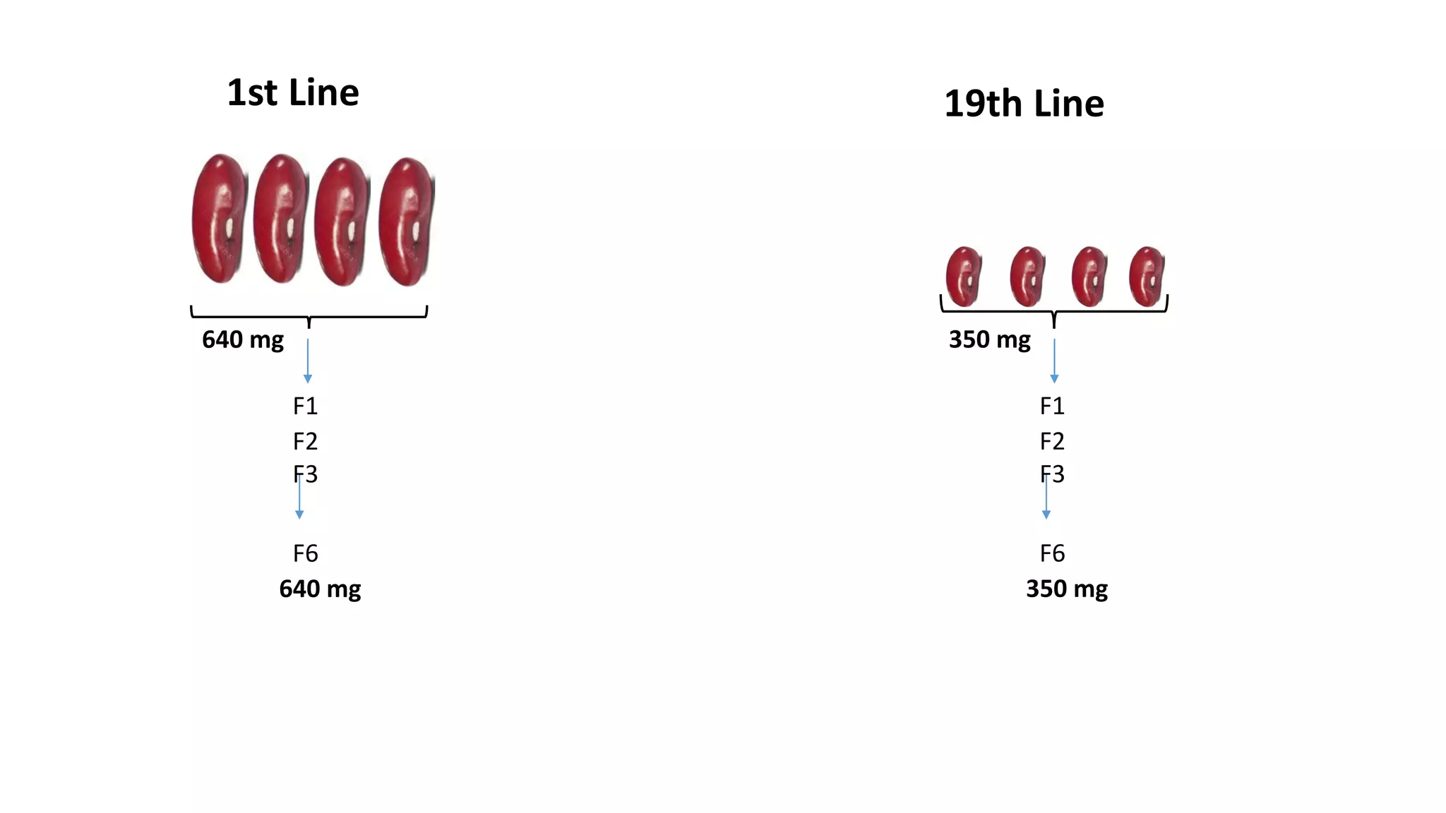 F1
F2
F3
F6
640 mg
640 mg
F1
F2
F3
F6
350 mg
350 mg
1st Line 19th Line
 