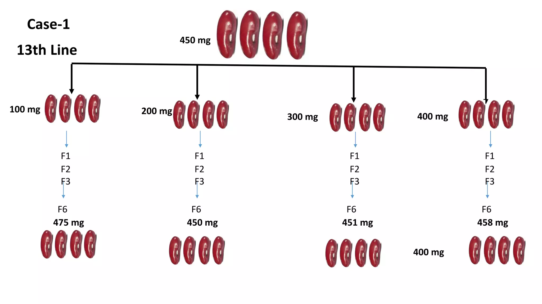 F1
F2
F3
F6
475 mg
13th Line
Case-1
450 mg
F1
F2
F3
F6
450 mg
F1
F2
F3
F6
451 mg
F1
F2
F3
F6
458 mg
100 mg 200 mg
300 mg 400 mg
400 mg
 