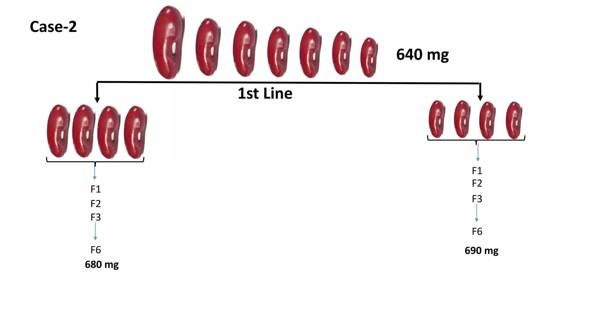 F1
F2
F3
F6
680 mg
1st Line
640 mg
F1
F2
F3
F6
690 mg
Case-2
 
