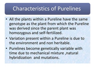 Pureline selection | PPT