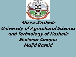 Sher-e-Kashmir
University of Agricultural Sciences
and Technology of Kashmir
Shalimar Campus
Majid Rashid
 