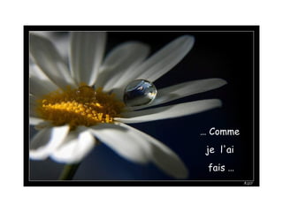 …  Comme  je  l'ai  fais … 