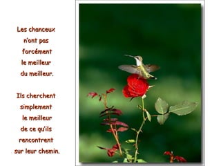 Les chanceux  n’ont pas  forcément le meilleur  du meilleur. Ils cherchent  simplement  le meilleur de ce qu’ils  rencontrent  sur leur chemin. 