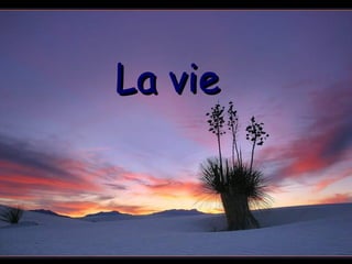 La vie 