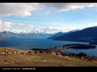 Queenstown – Deer park 皇后鎮旁的鹿公園
 