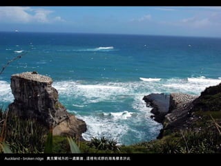 Auckland - broken ridge 奧克蘭城外的一處斷崖 , 這裡有成群的海鳥棲息於此
 