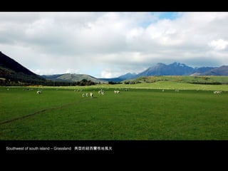Southwest of south island – Grassland 典型的紐西蘭牧地風光
 