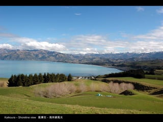 Kaikoura – Shoreline view 凱庫拉 – 海岸線風光
 