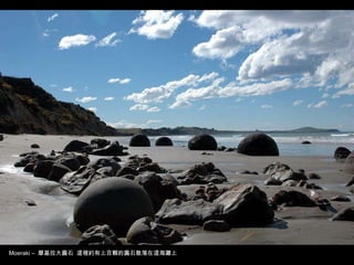 Moeraki –  摩基拉大圓石  這裡約有上百顆的圓石散落在這海灘上 