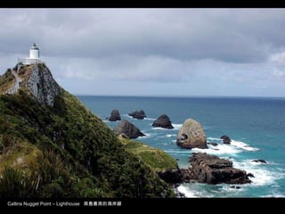 Catlins Nugget Point – Lighthouse  南島最南的海岸線  