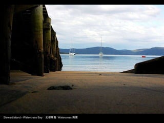 Stewart island - Watercress Bay  史都華島  Watercress 海灣 