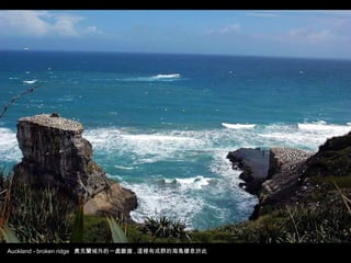 Auckland - broken ridge  奧克蘭城外的一處斷崖 , 這裡有成群的海鳥棲息於此 