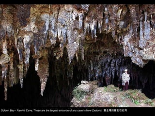 Golden Bay - Rawhiti Cave, These are the largest entrance of any cave in New Zealand  黃金灣的鐘乳石岩洞 