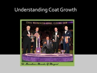 Understanding	
  Coat	
  Growth	
  
 