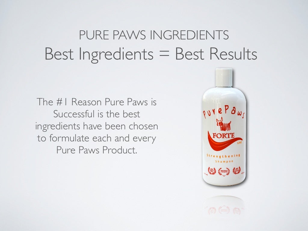 Pure Paws Workshop 3 - Pure Paws Product Lines