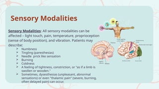 Pure Sensory Stroke (PSS) New theme (1).pptx