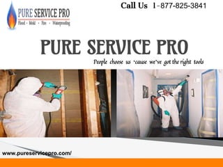 PURE SERVICE PRO
People choose us ‘cause we’ve got the right tools
www.pureservicepro.com/
Call Us 1-877-825-3841
 