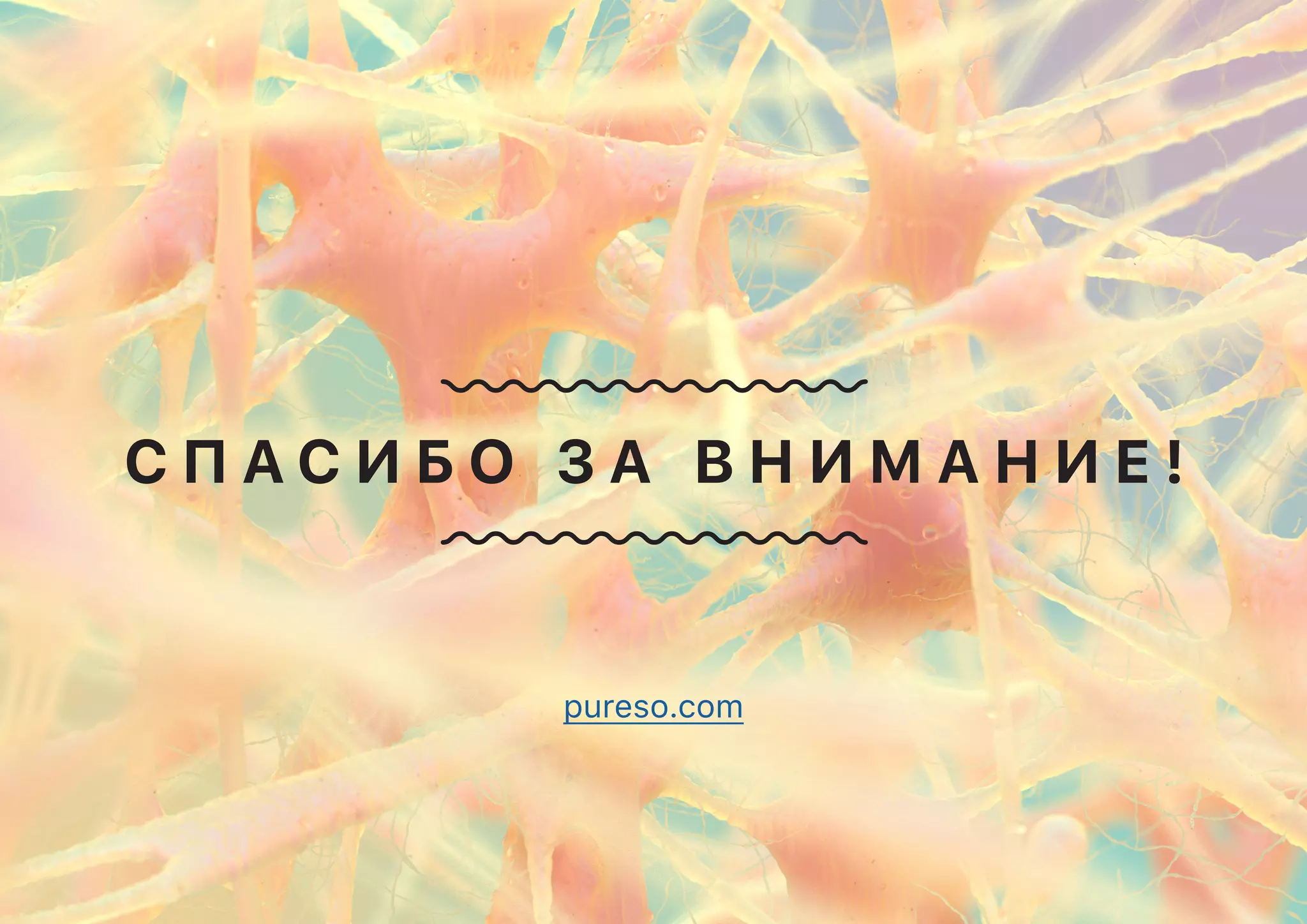 С П А С И Б О З А В Н И М А Н И Е !
pureso.com
 