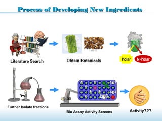 Process of Developing New IngredientsProcess of Developing New Ingredients
Literature Search Obtain Botanicals Polar N-Polar
Further Isolate fractions
Bio Assay Activity Screens Activity???
 