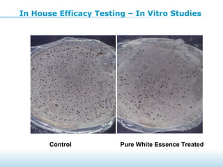 In House Efficacy Testing – In Vitro Studies
Control Pure White Essence Treated
 